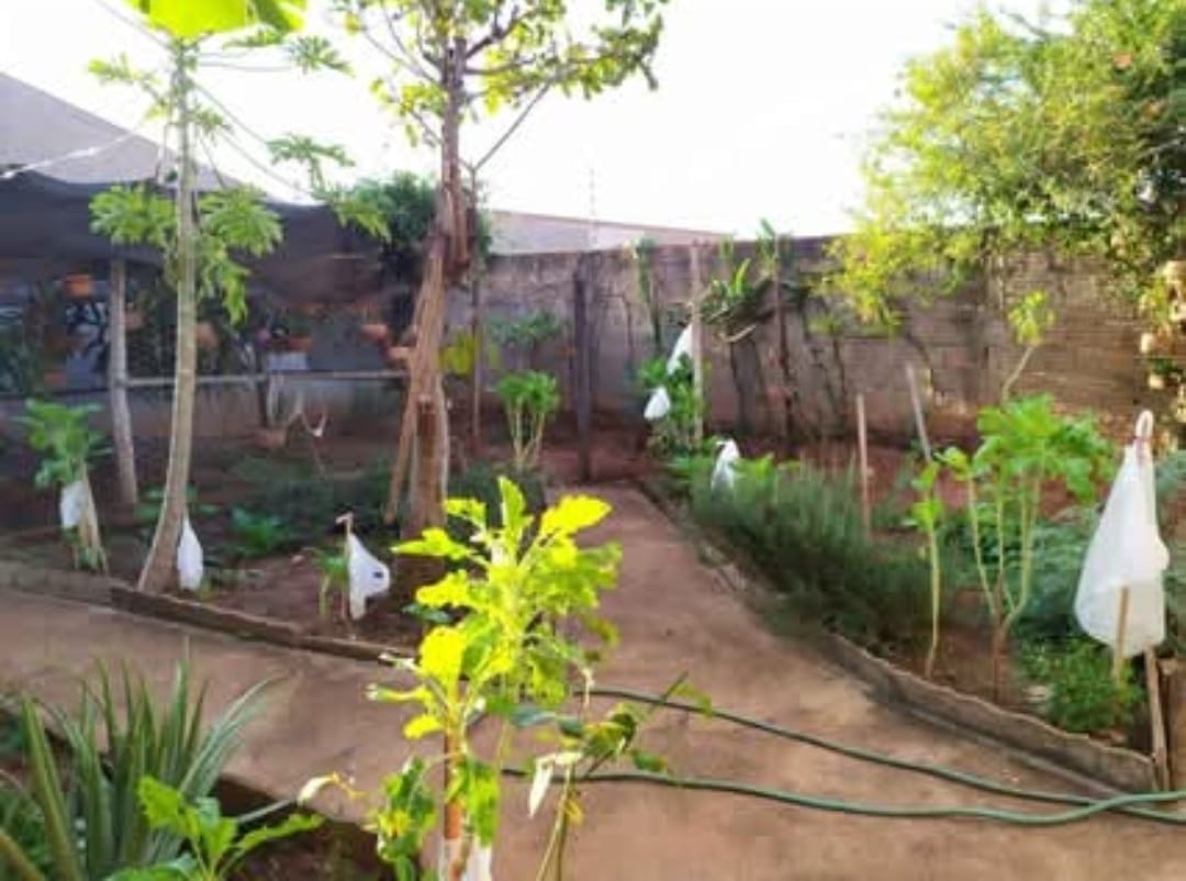 Casa á Venda em Catanduva Casa á Venda em Catanduva